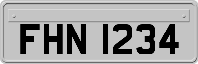 FHN1234