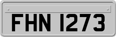FHN1273