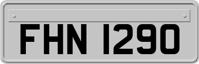 FHN1290