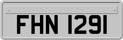 FHN1291