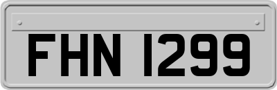 FHN1299