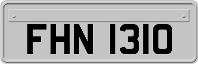 FHN1310