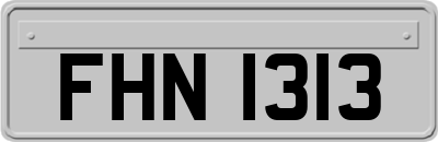 FHN1313