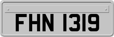 FHN1319