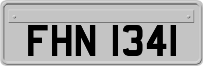 FHN1341