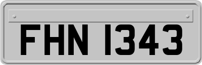 FHN1343