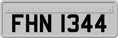 FHN1344