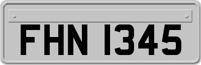 FHN1345