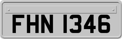 FHN1346