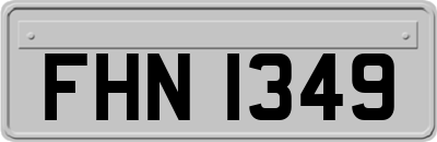 FHN1349