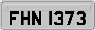FHN1373
