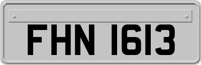 FHN1613