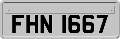 FHN1667