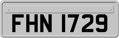 FHN1729
