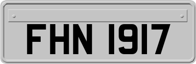 FHN1917