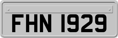FHN1929