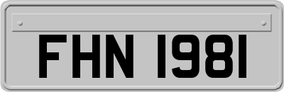FHN1981