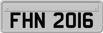 FHN2016