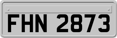 FHN2873