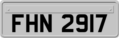FHN2917