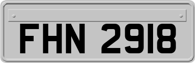 FHN2918