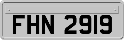 FHN2919