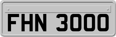 FHN3000