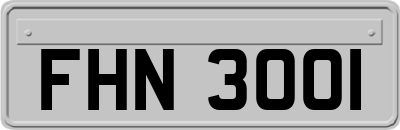 FHN3001