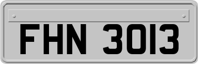 FHN3013