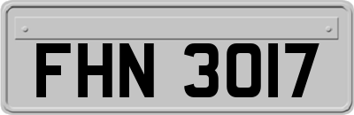 FHN3017