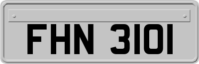 FHN3101