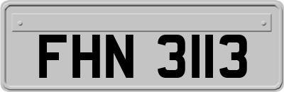 FHN3113