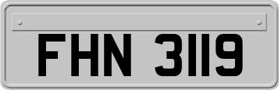 FHN3119