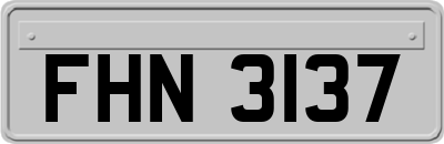 FHN3137