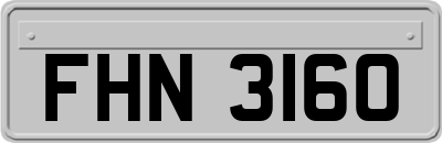 FHN3160