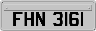 FHN3161