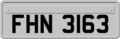 FHN3163