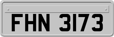 FHN3173