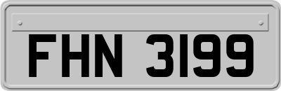 FHN3199