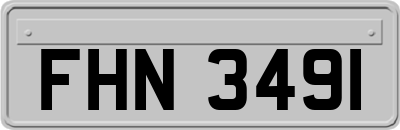 FHN3491