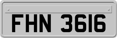 FHN3616