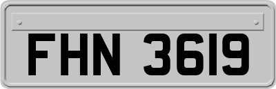 FHN3619