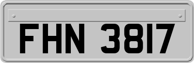 FHN3817