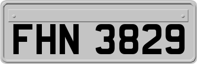 FHN3829