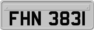 FHN3831