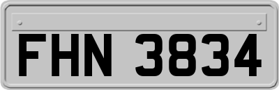 FHN3834