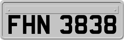 FHN3838