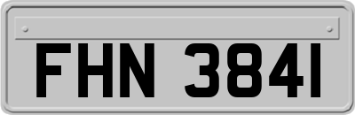 FHN3841