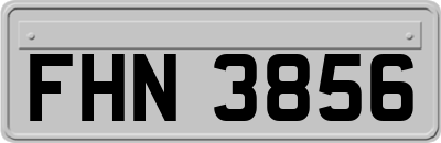 FHN3856