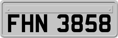 FHN3858